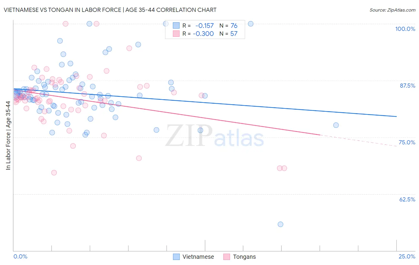 Vietnamese vs Tongan In Labor Force | Age 35-44
