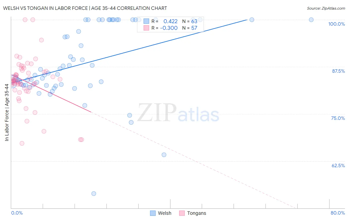 Welsh vs Tongan In Labor Force | Age 35-44