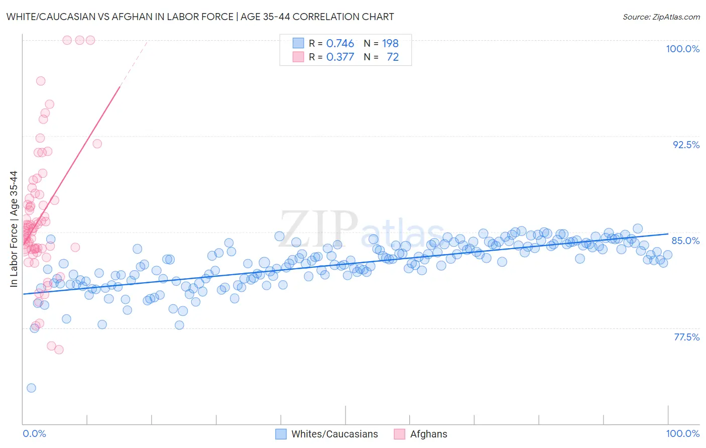 White/Caucasian vs Afghan In Labor Force | Age 35-44