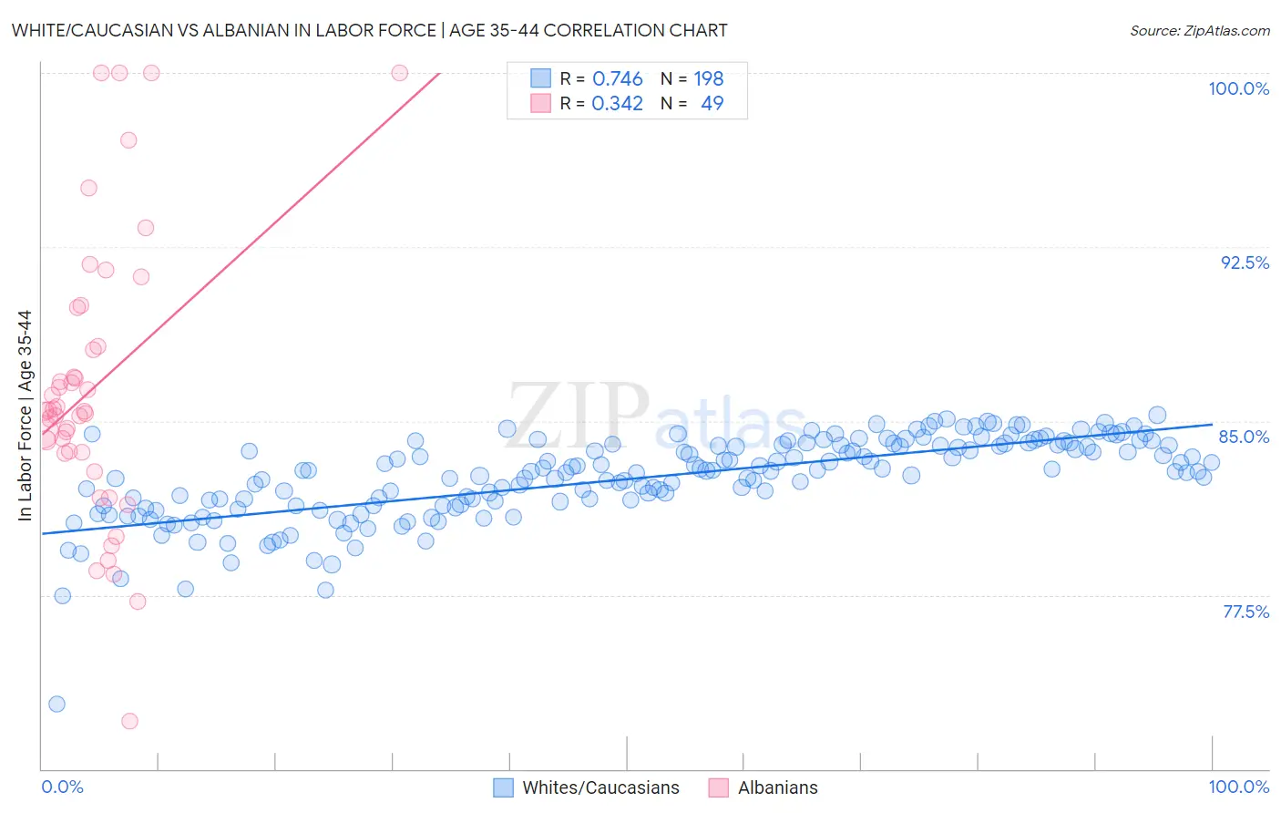 White/Caucasian vs Albanian In Labor Force | Age 35-44