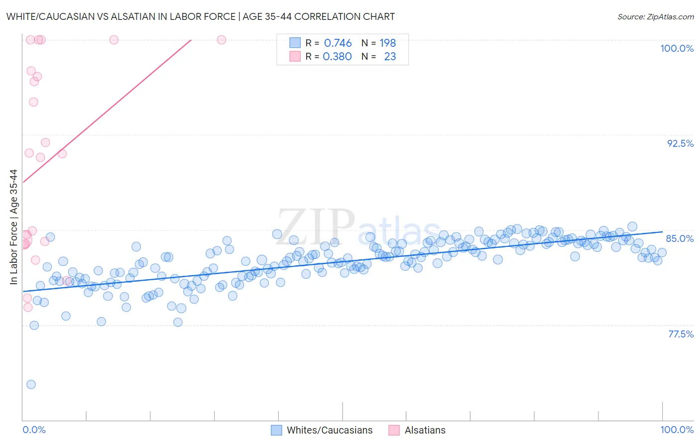 White/Caucasian vs Alsatian In Labor Force | Age 35-44
