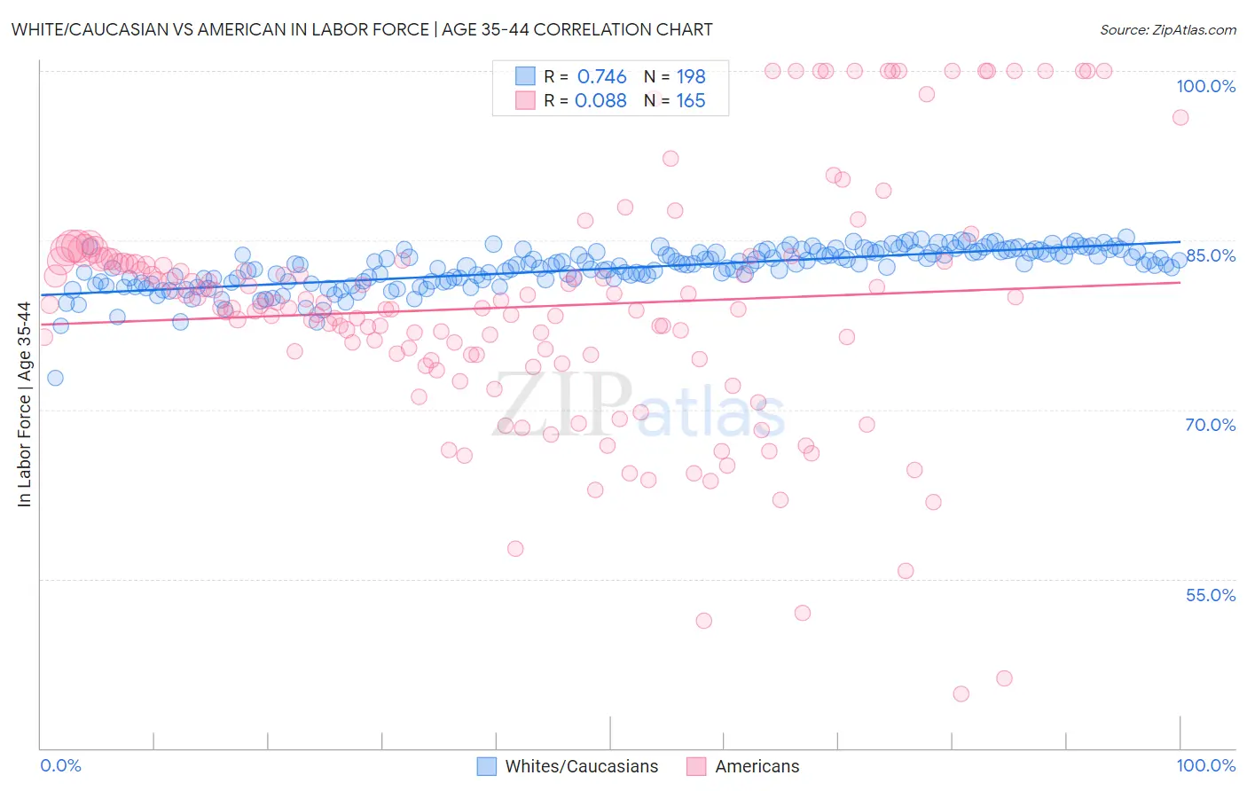White/Caucasian vs American In Labor Force | Age 35-44