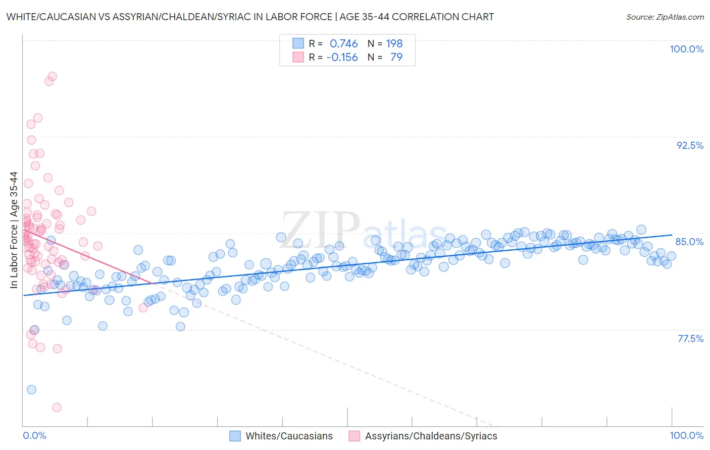 White/Caucasian vs Assyrian/Chaldean/Syriac In Labor Force | Age 35-44