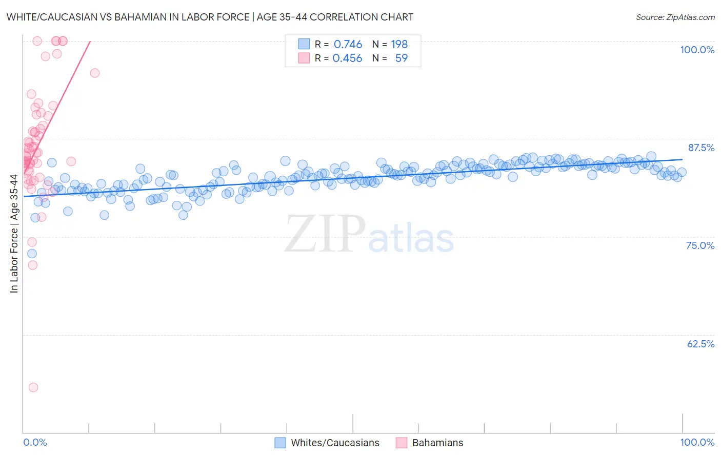White/Caucasian vs Bahamian In Labor Force | Age 35-44