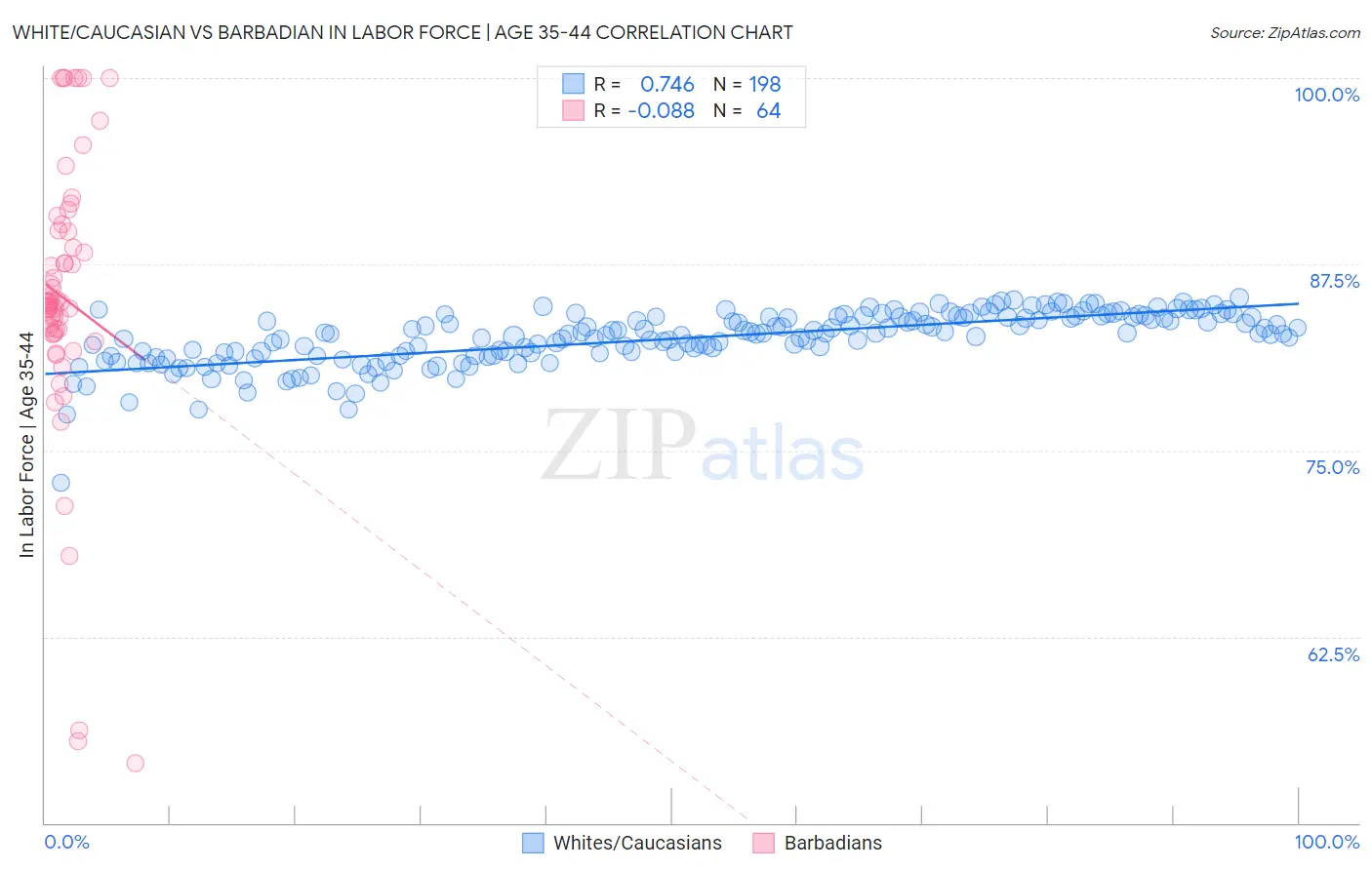 White/Caucasian vs Barbadian In Labor Force | Age 35-44