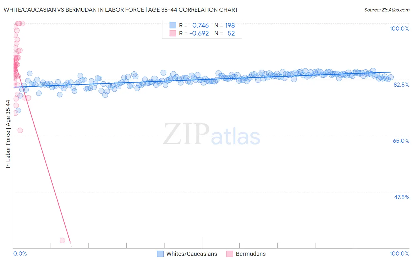 White/Caucasian vs Bermudan In Labor Force | Age 35-44