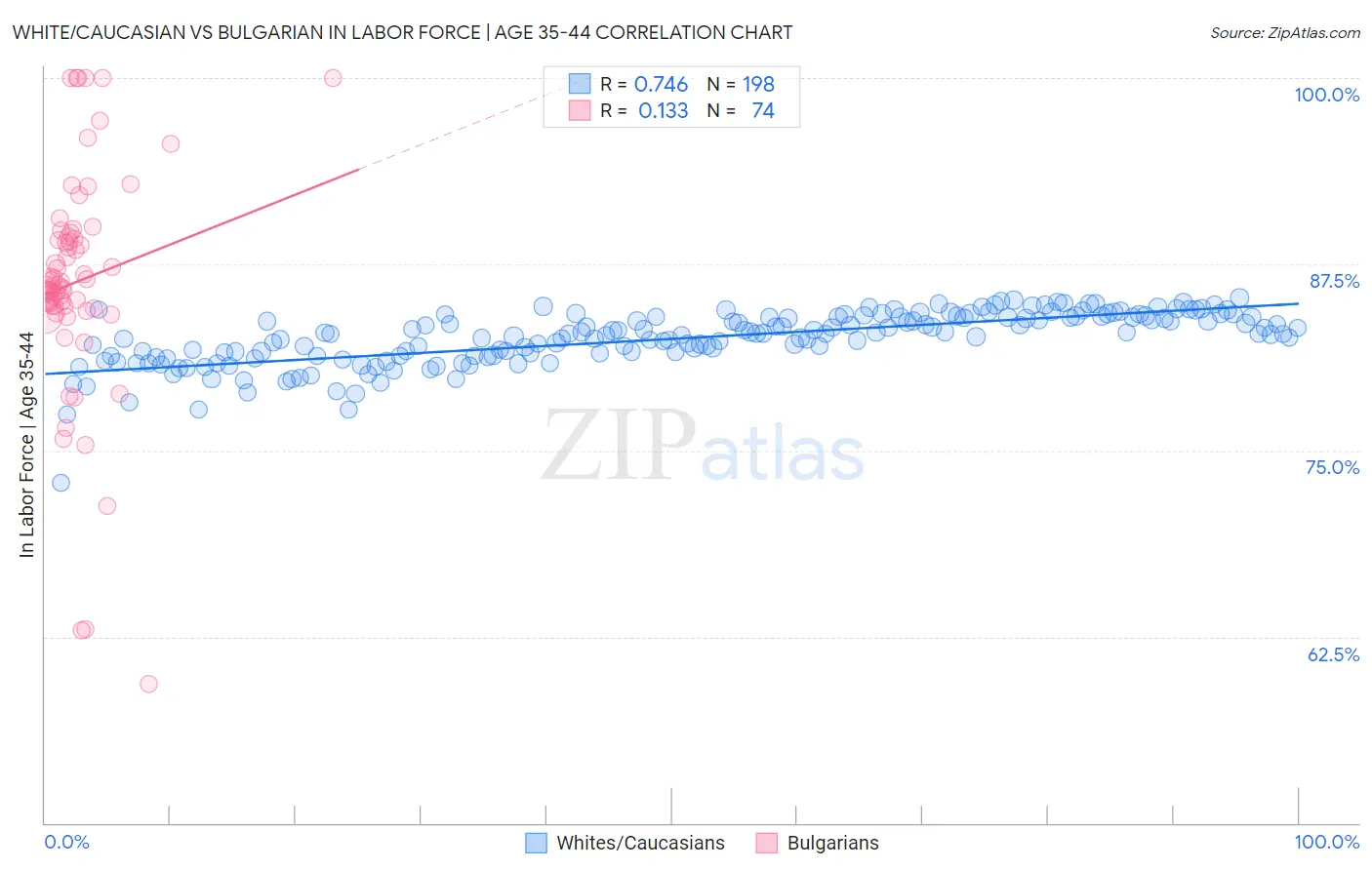 White/Caucasian vs Bulgarian In Labor Force | Age 35-44