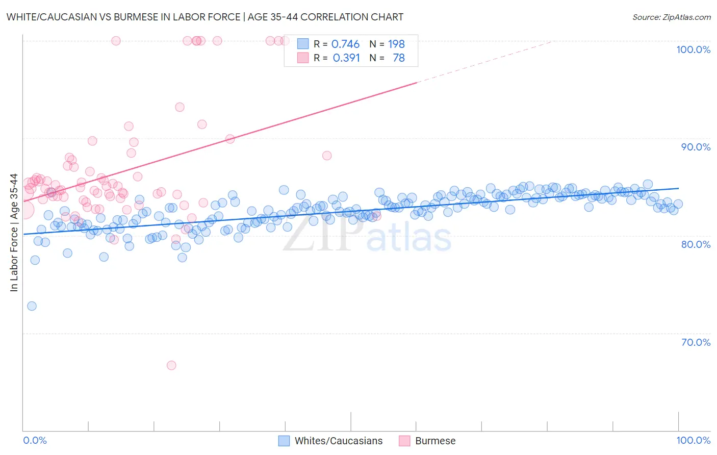 White/Caucasian vs Burmese In Labor Force | Age 35-44