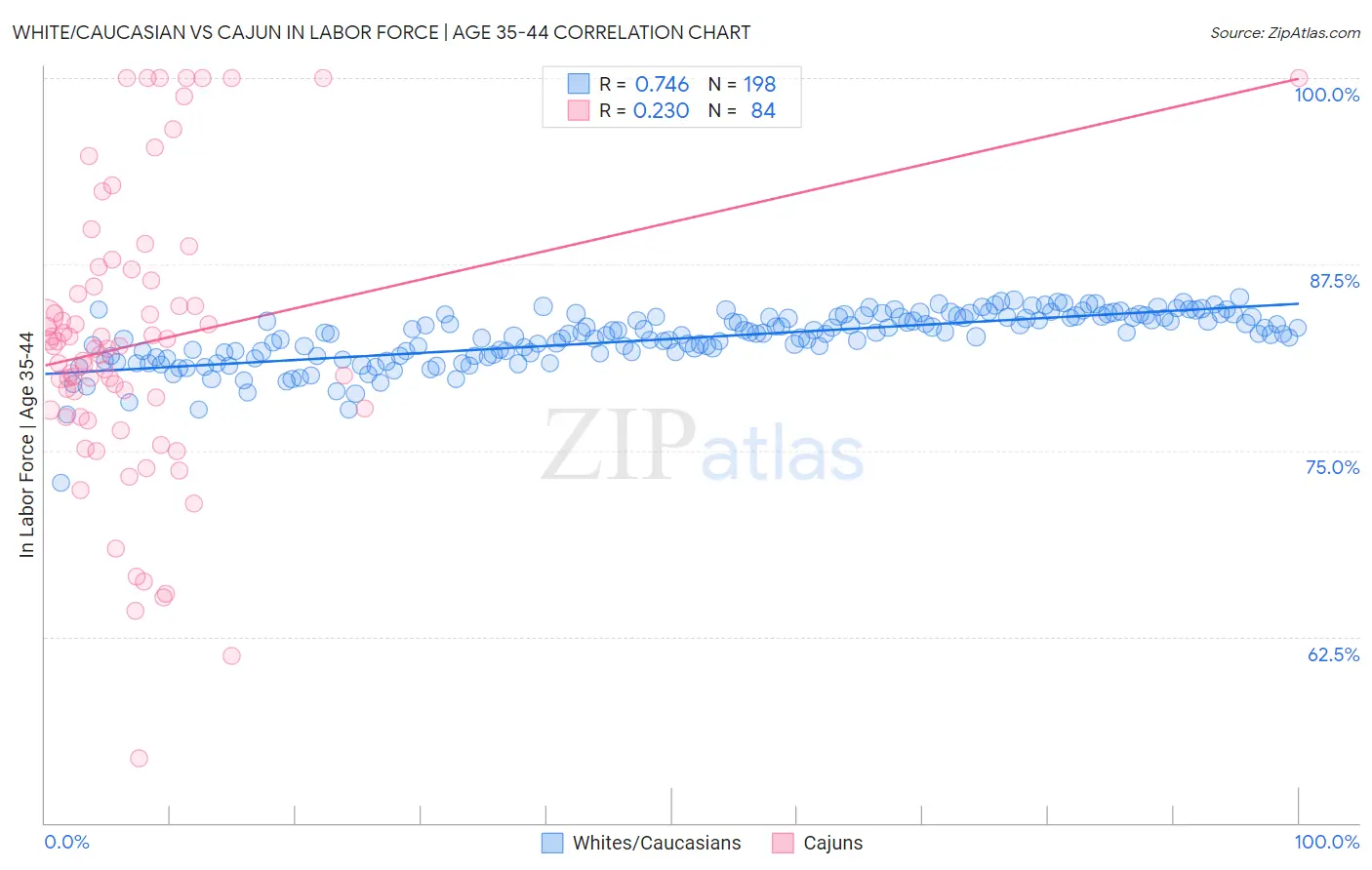 White/Caucasian vs Cajun In Labor Force | Age 35-44