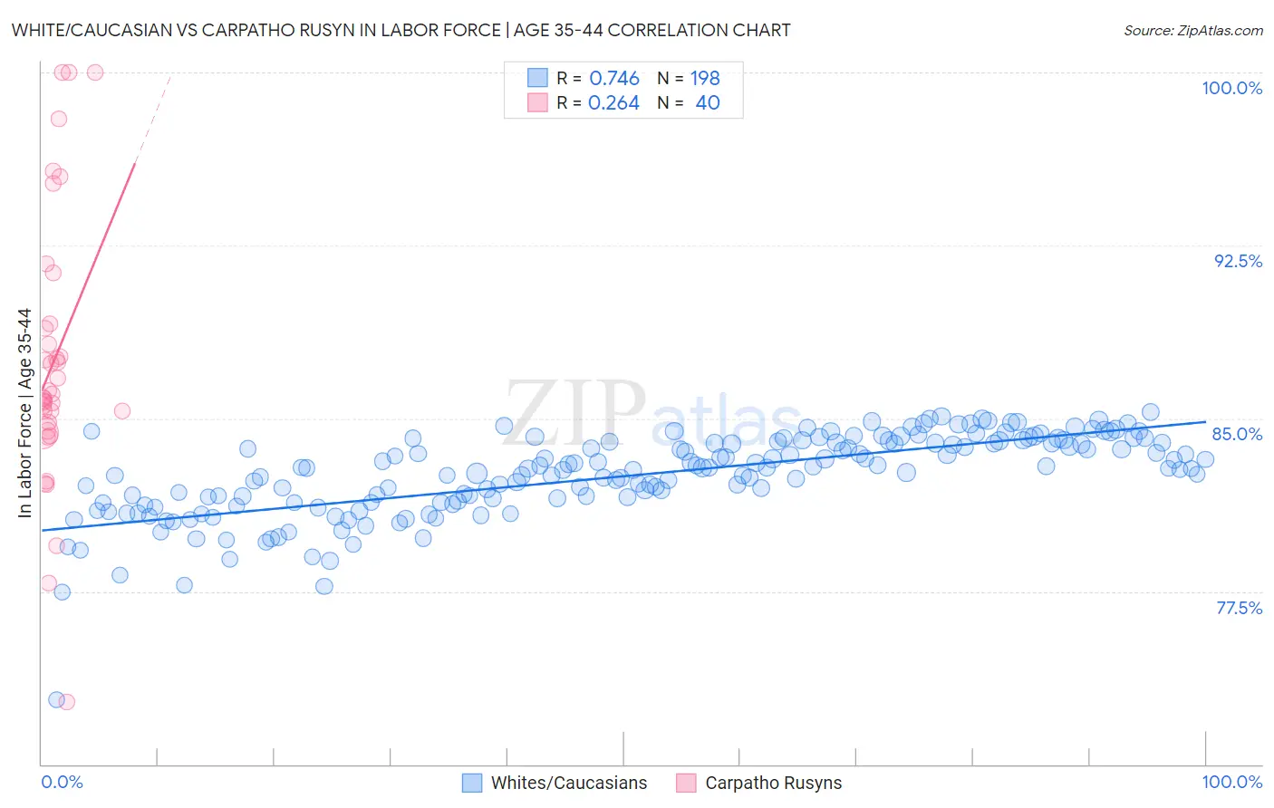 White/Caucasian vs Carpatho Rusyn In Labor Force | Age 35-44