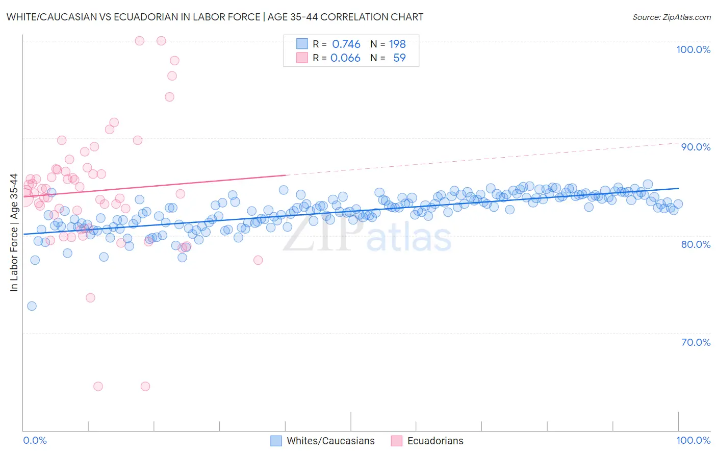 White/Caucasian vs Ecuadorian In Labor Force | Age 35-44
