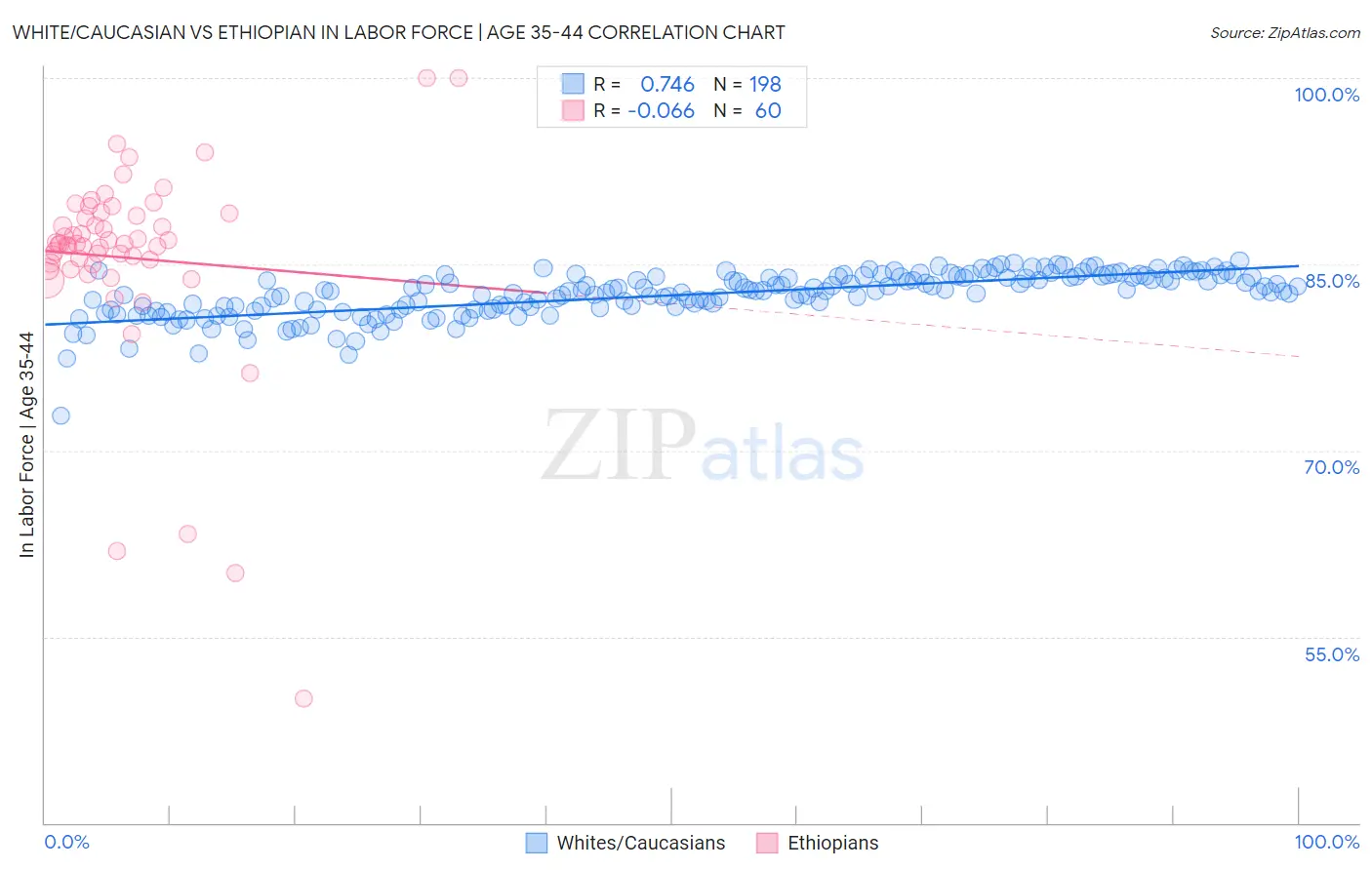 White/Caucasian vs Ethiopian In Labor Force | Age 35-44