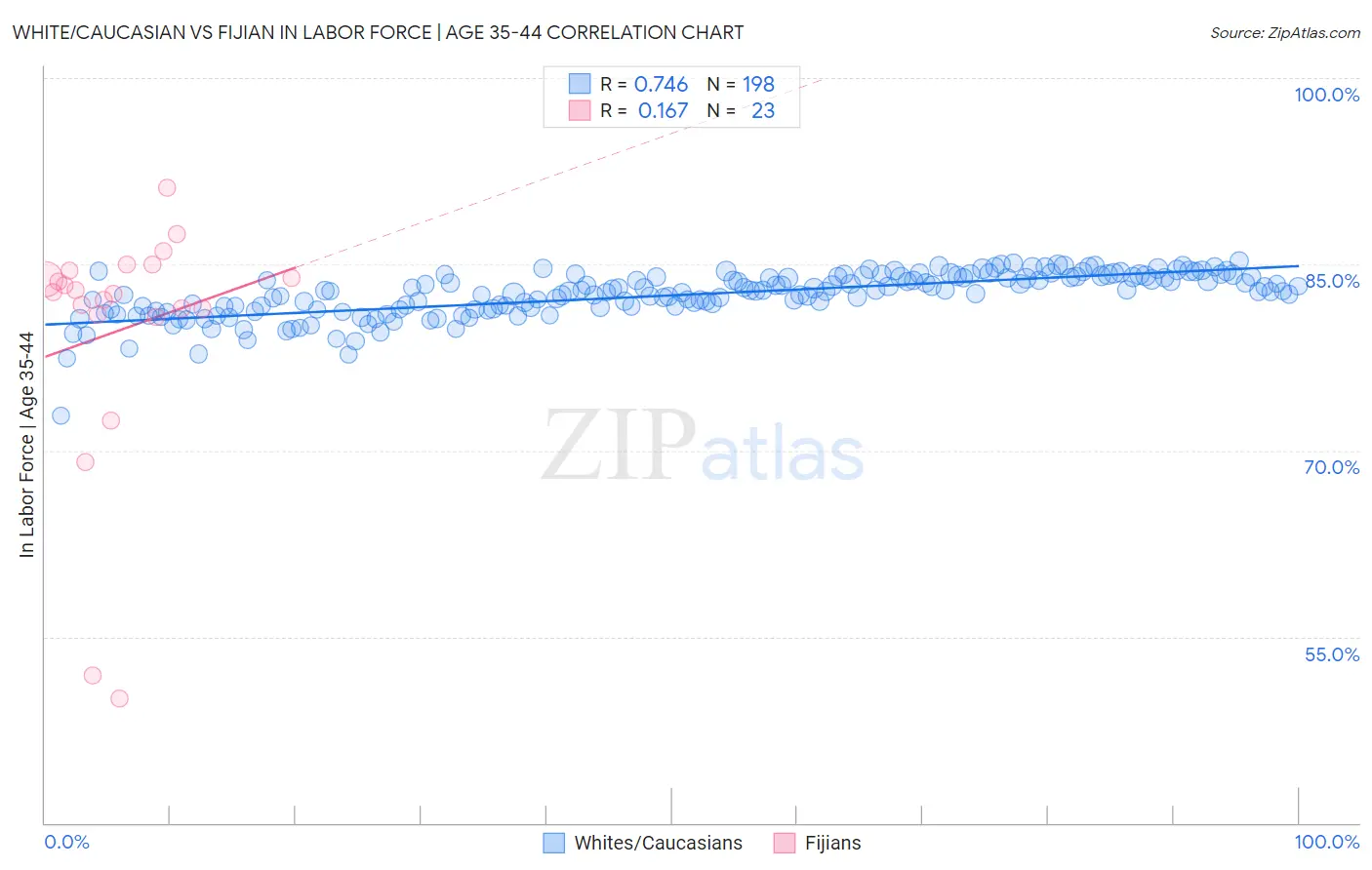 White/Caucasian vs Fijian In Labor Force | Age 35-44