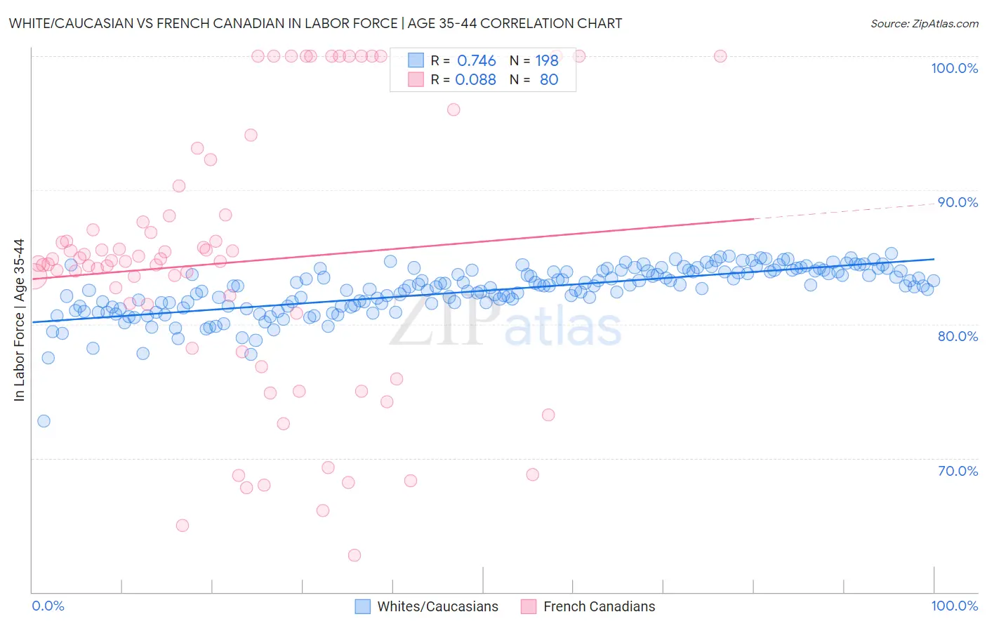 White/Caucasian vs French Canadian In Labor Force | Age 35-44