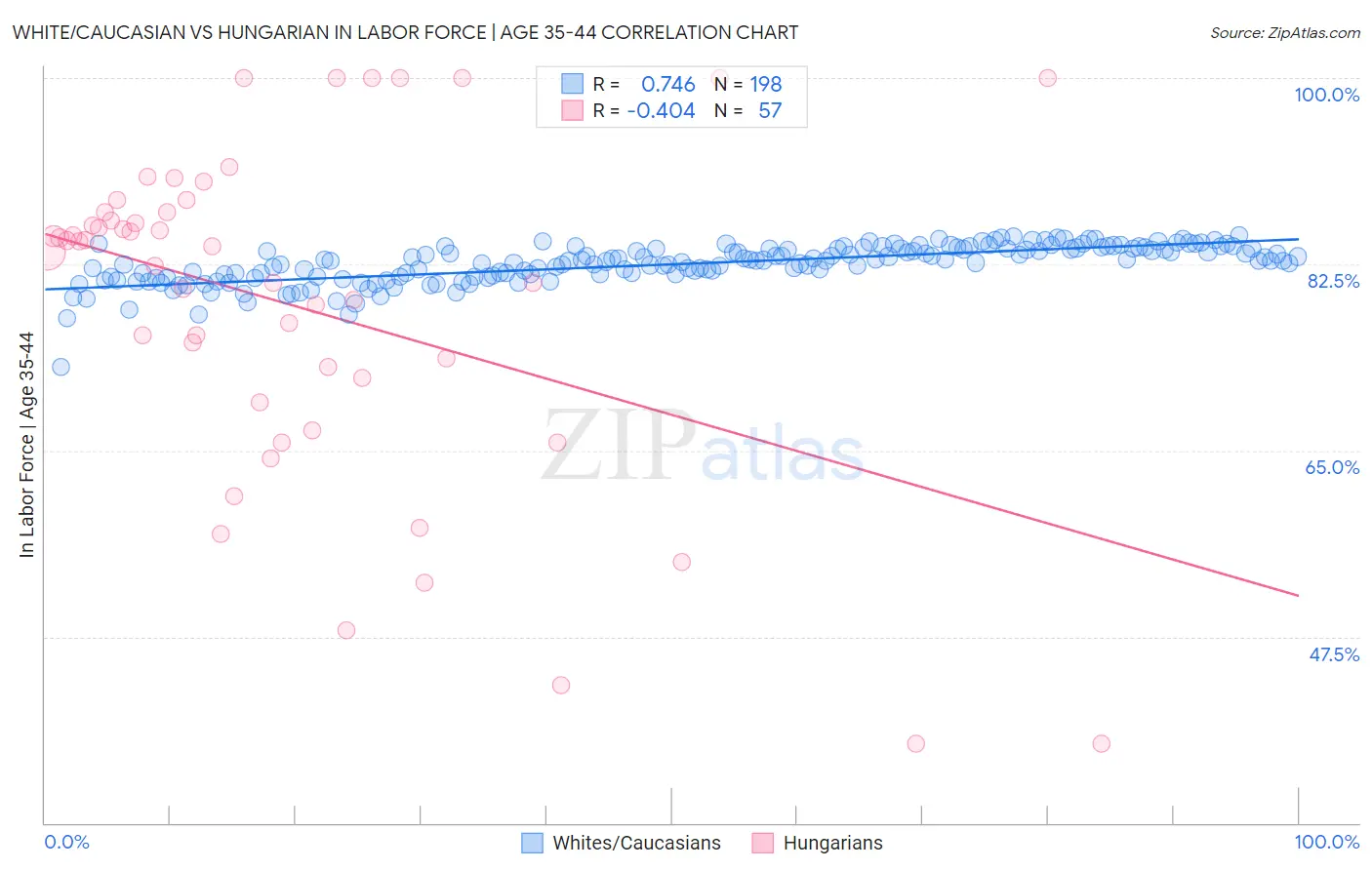 White/Caucasian vs Hungarian In Labor Force | Age 35-44