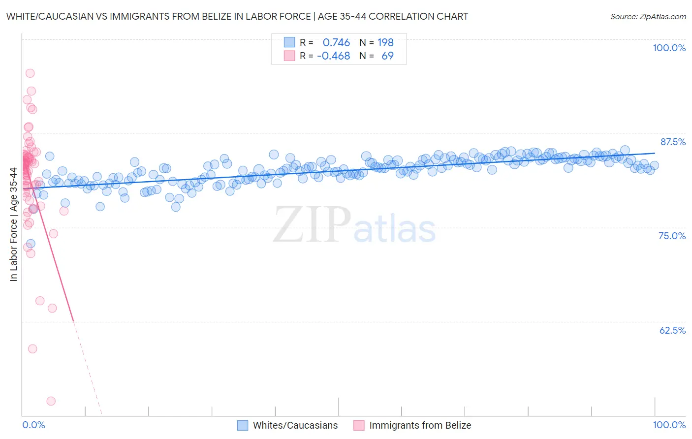 White/Caucasian vs Immigrants from Belize In Labor Force | Age 35-44