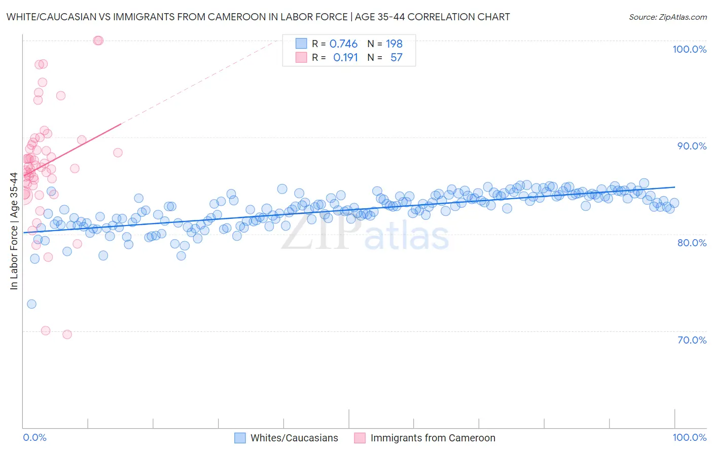 White/Caucasian vs Immigrants from Cameroon In Labor Force | Age 35-44