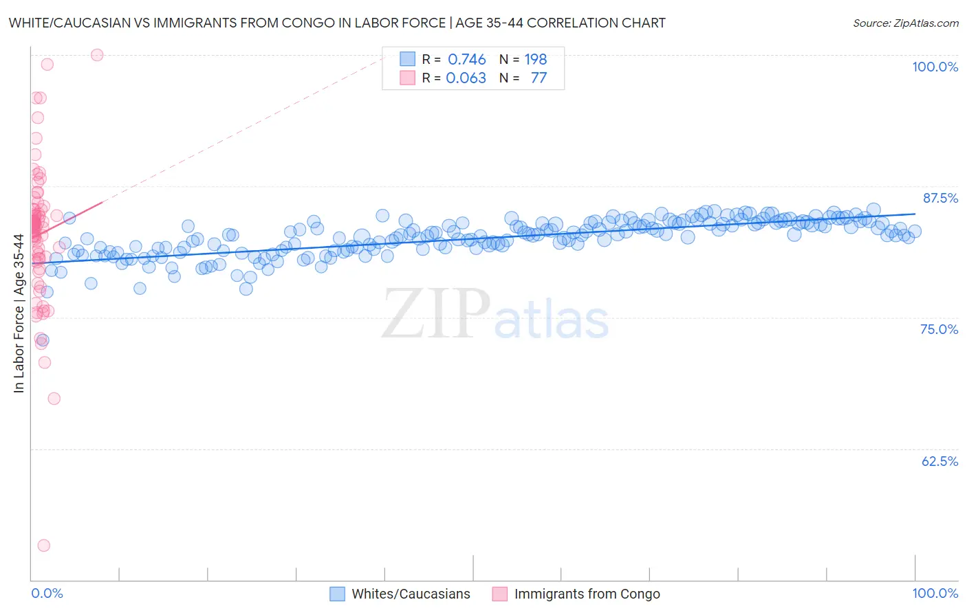 White/Caucasian vs Immigrants from Congo In Labor Force | Age 35-44