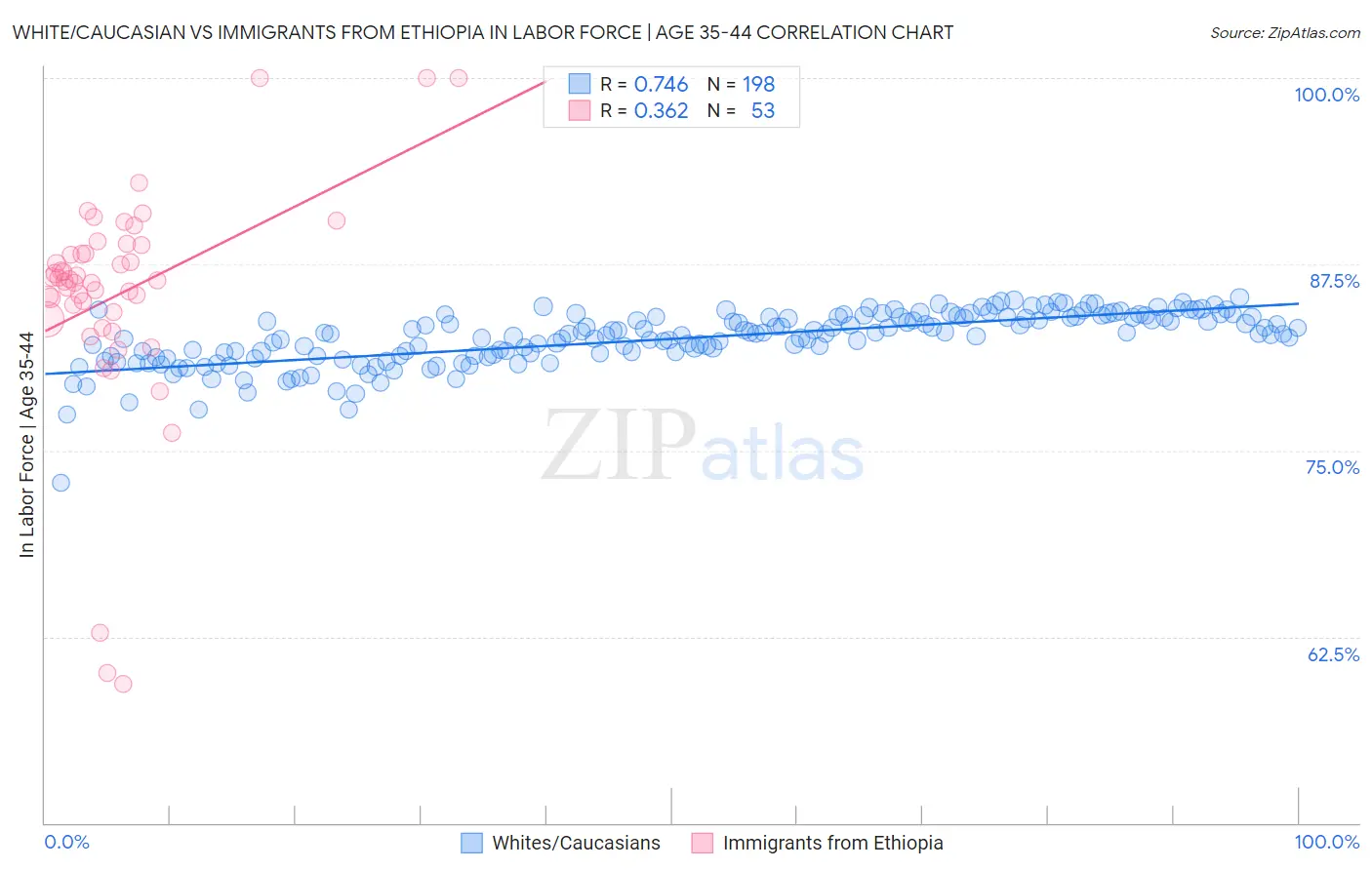 White/Caucasian vs Immigrants from Ethiopia In Labor Force | Age 35-44
