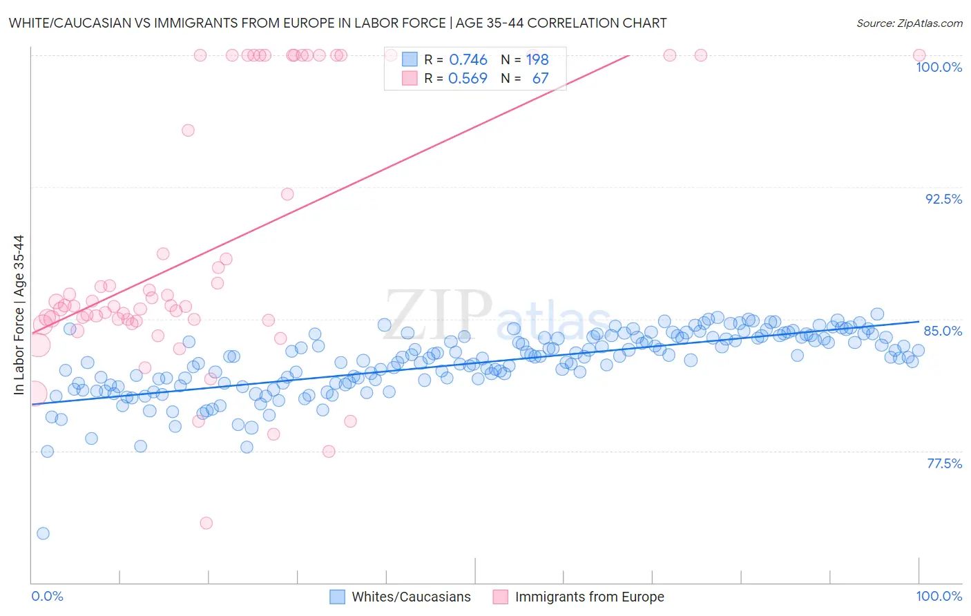 White/Caucasian vs Immigrants from Europe In Labor Force | Age 35-44
