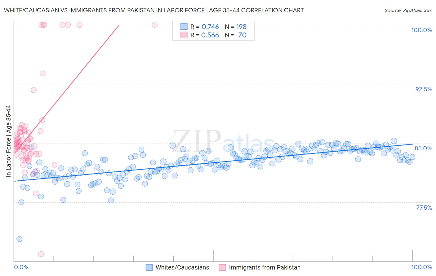 White/Caucasian vs Immigrants from Pakistan In Labor Force | Age 35-44