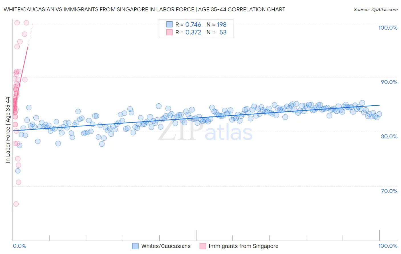 White/Caucasian vs Immigrants from Singapore In Labor Force | Age 35-44