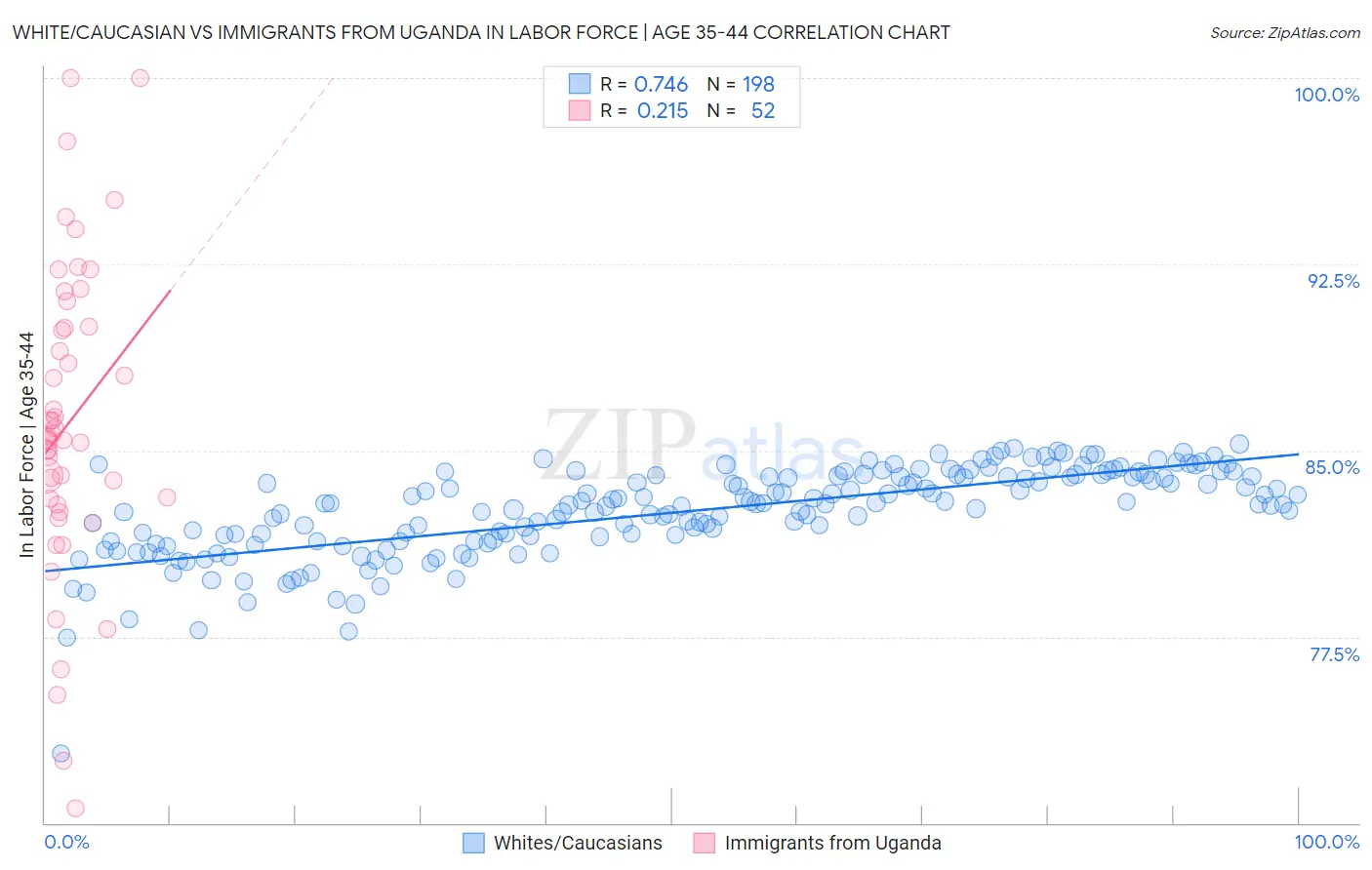 White/Caucasian vs Immigrants from Uganda In Labor Force | Age 35-44