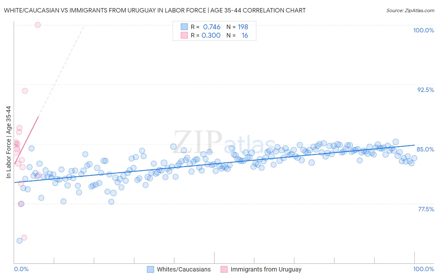 White/Caucasian vs Immigrants from Uruguay In Labor Force | Age 35-44