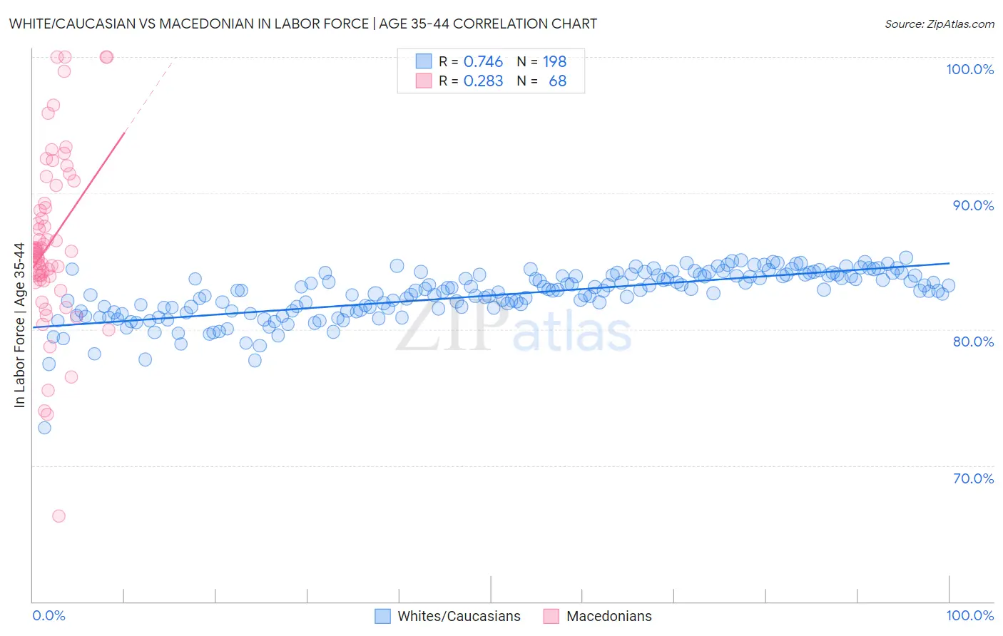 White/Caucasian vs Macedonian In Labor Force | Age 35-44