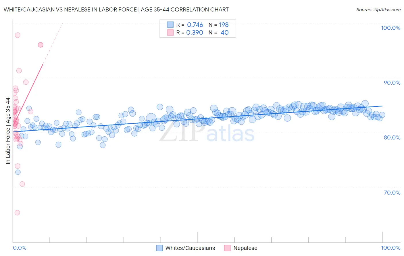 White/Caucasian vs Nepalese In Labor Force | Age 35-44