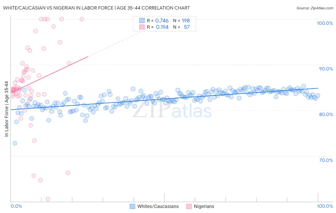 White/Caucasian vs Nigerian In Labor Force | Age 35-44