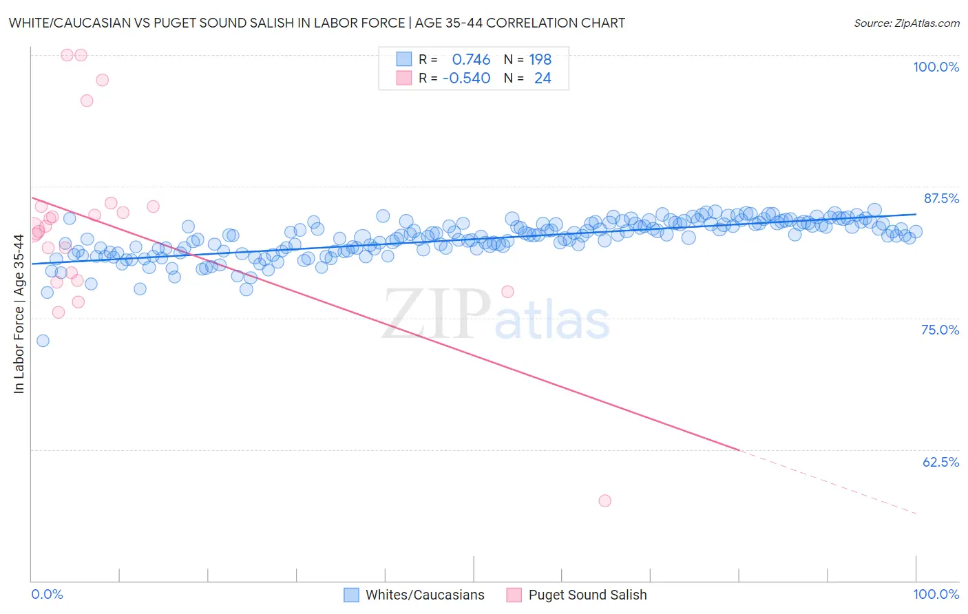 White/Caucasian vs Puget Sound Salish In Labor Force | Age 35-44