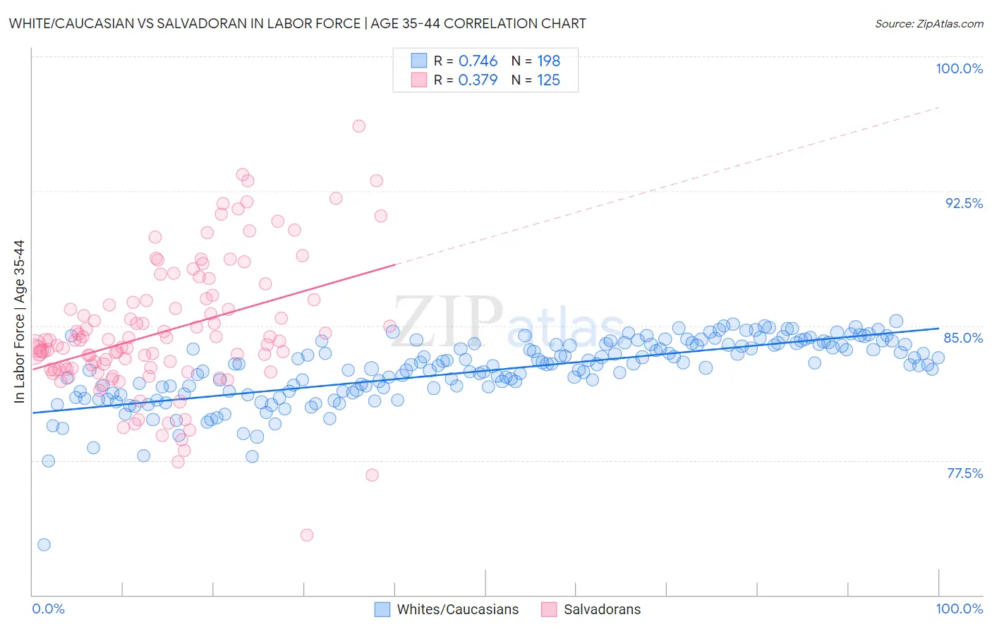White/Caucasian vs Salvadoran In Labor Force | Age 35-44