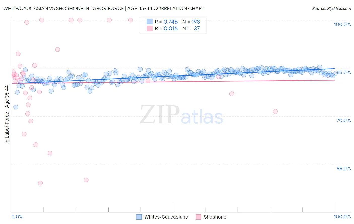 White/Caucasian vs Shoshone In Labor Force | Age 35-44