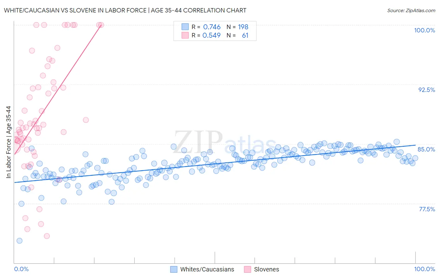 White/Caucasian vs Slovene In Labor Force | Age 35-44