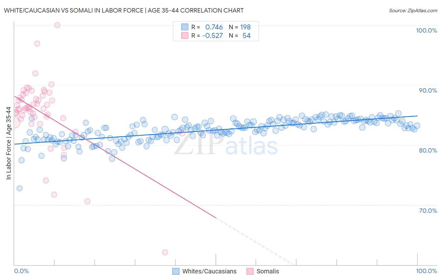 White/Caucasian vs Somali In Labor Force | Age 35-44