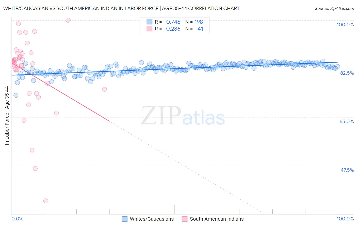 White/Caucasian vs South American Indian In Labor Force | Age 35-44