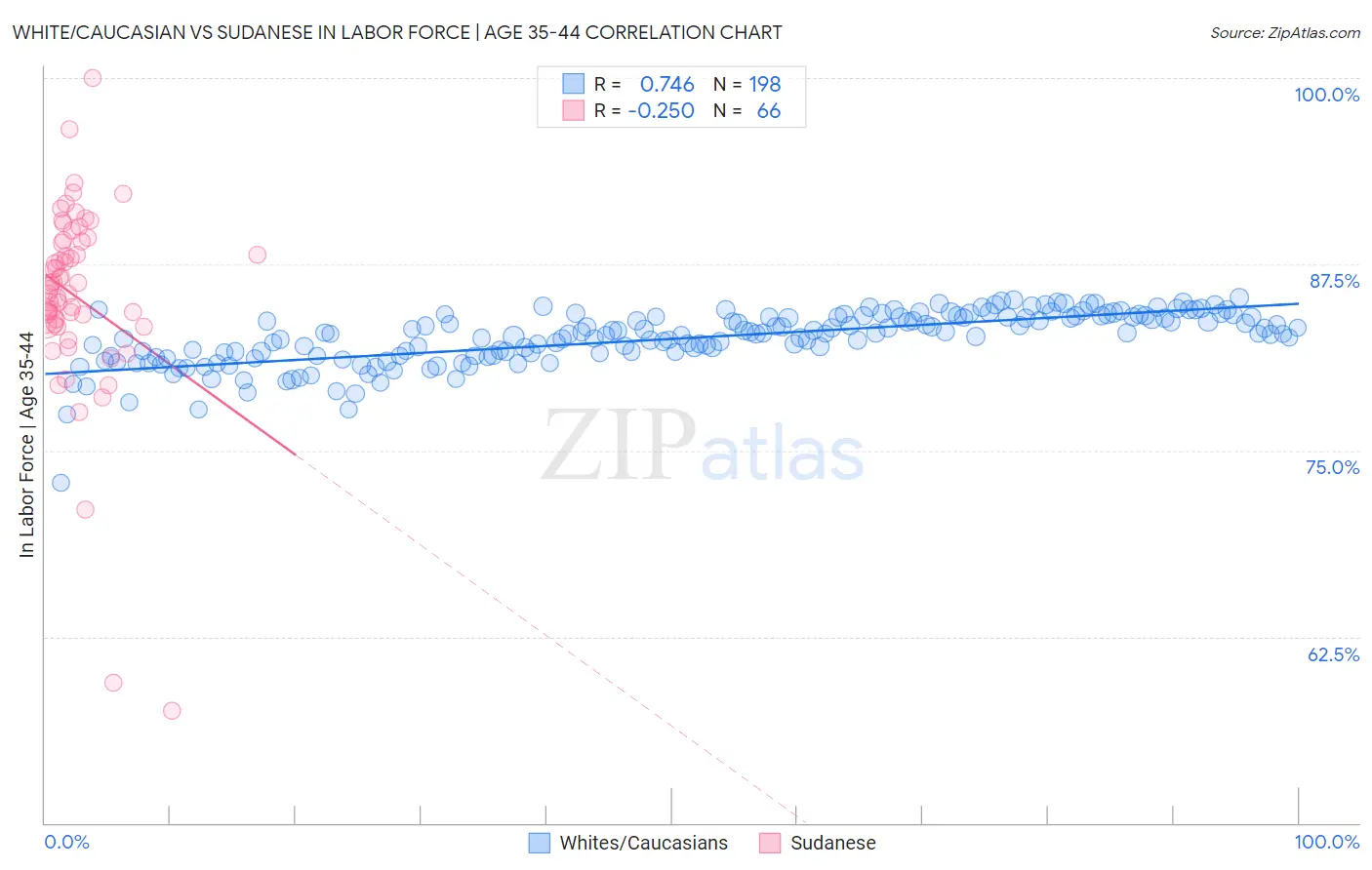 White/Caucasian vs Sudanese In Labor Force | Age 35-44
