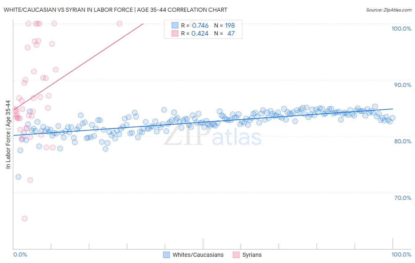 White/Caucasian vs Syrian In Labor Force | Age 35-44