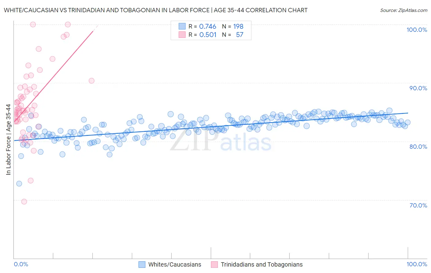 White/Caucasian vs Trinidadian and Tobagonian In Labor Force | Age 35-44