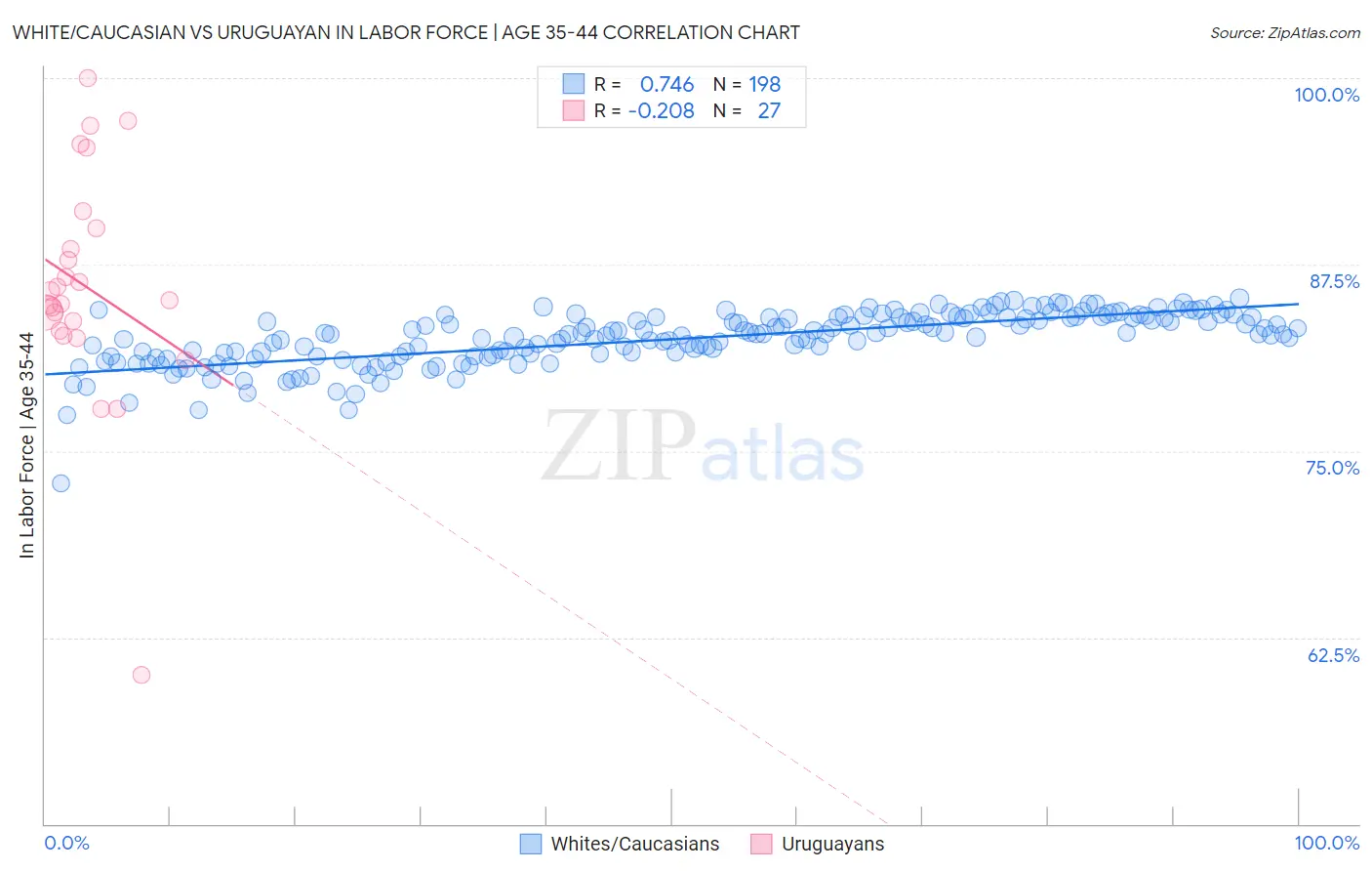 White/Caucasian vs Uruguayan In Labor Force | Age 35-44