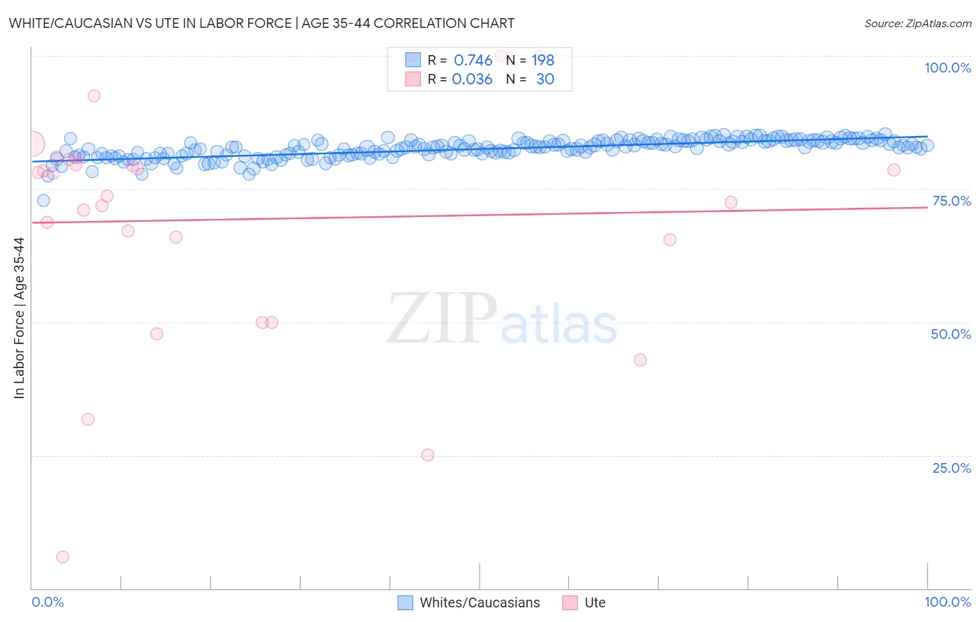 White/Caucasian vs Ute In Labor Force | Age 35-44