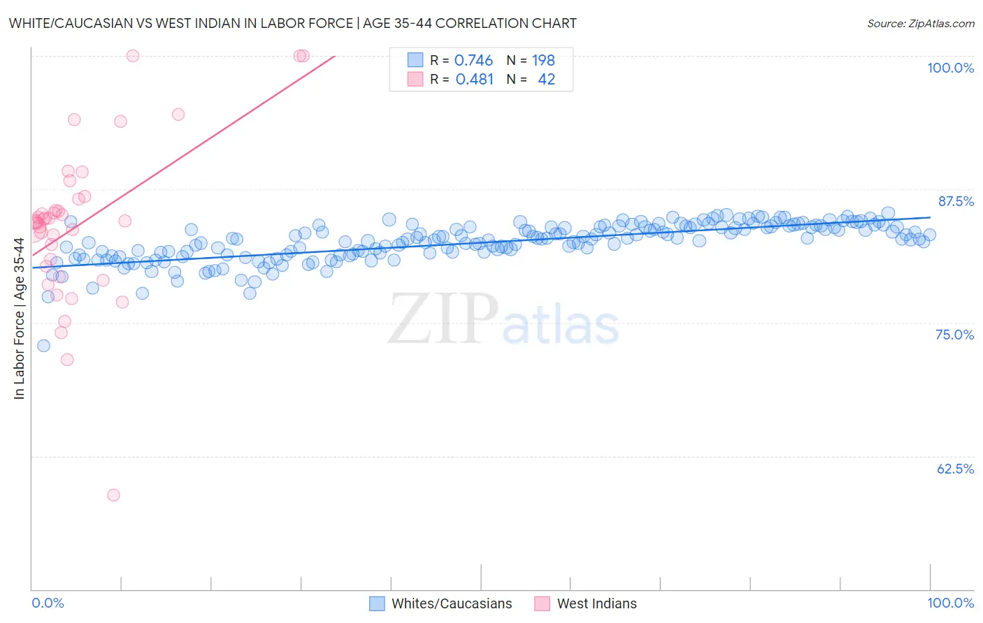 White/Caucasian vs West Indian In Labor Force | Age 35-44