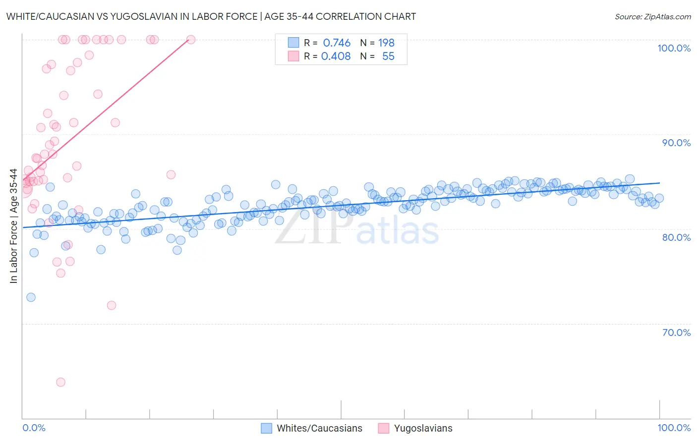 White/Caucasian vs Yugoslavian In Labor Force | Age 35-44