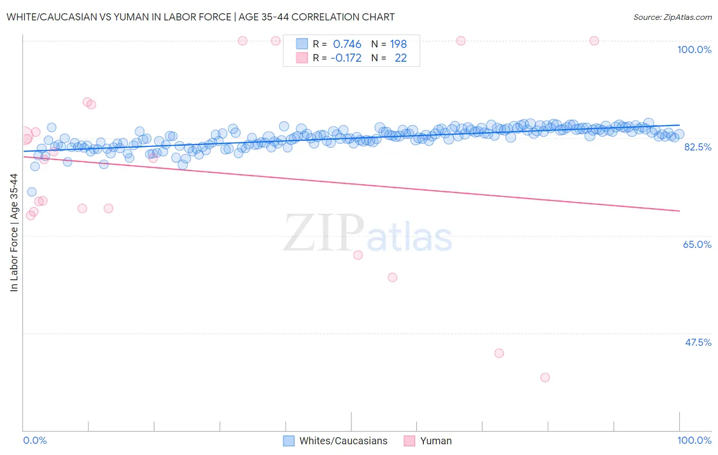 White/Caucasian vs Yuman In Labor Force | Age 35-44