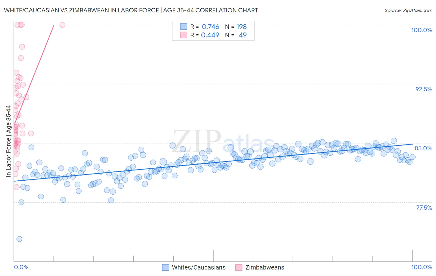 White/Caucasian vs Zimbabwean In Labor Force | Age 35-44