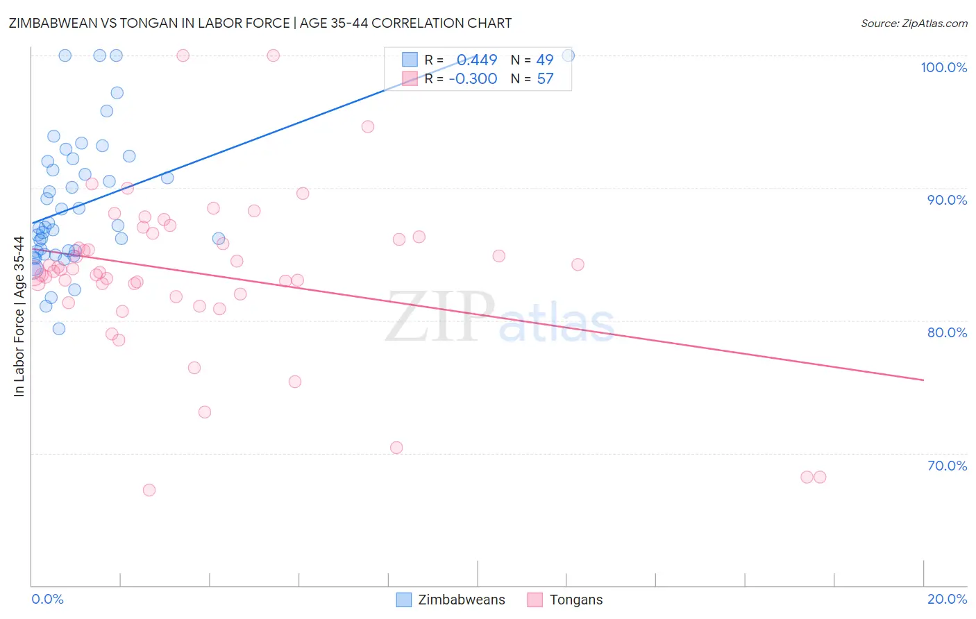 Zimbabwean vs Tongan In Labor Force | Age 35-44