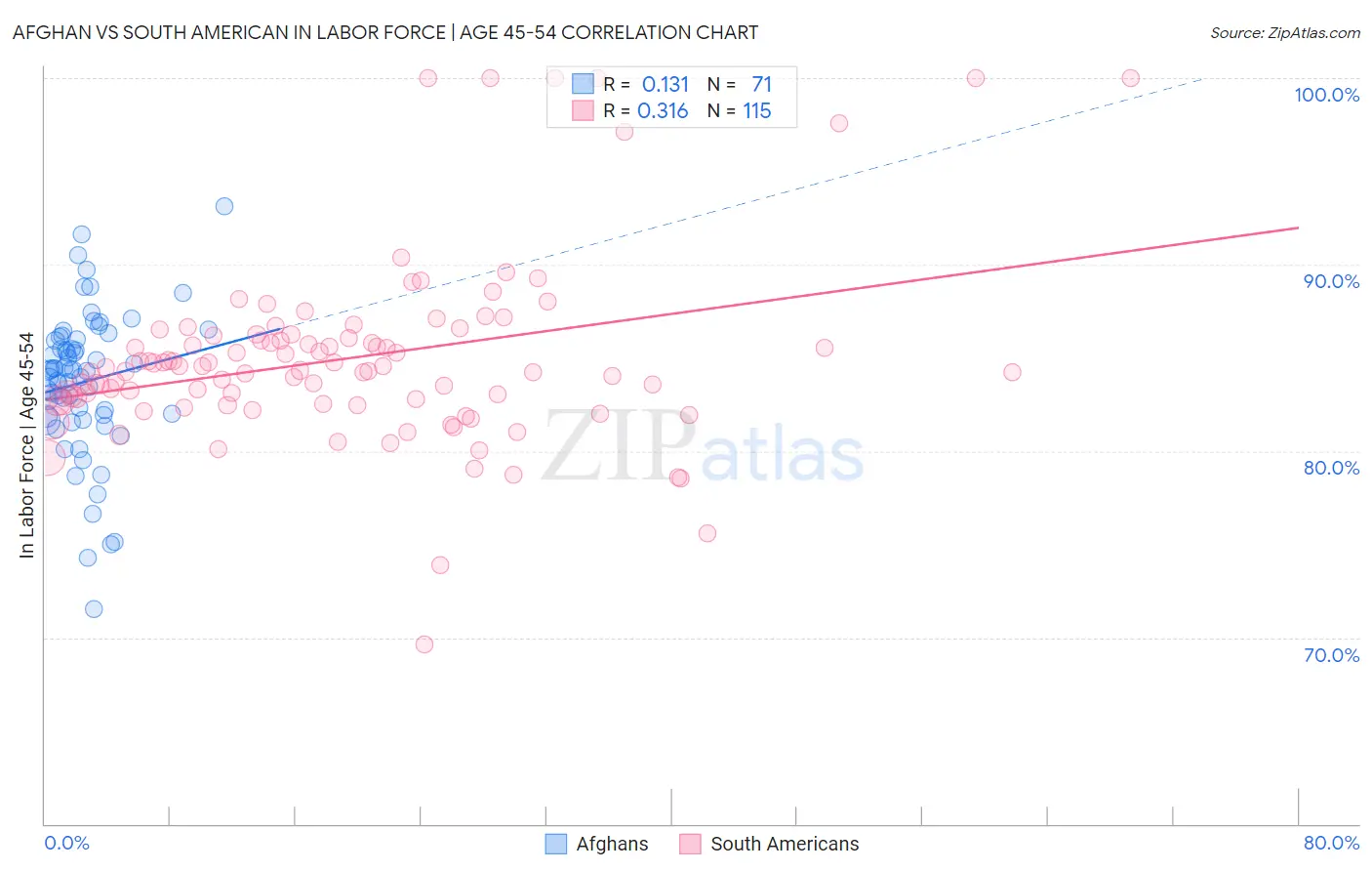 Afghan vs South American In Labor Force | Age 45-54