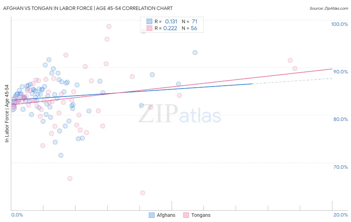 Afghan vs Tongan In Labor Force | Age 45-54