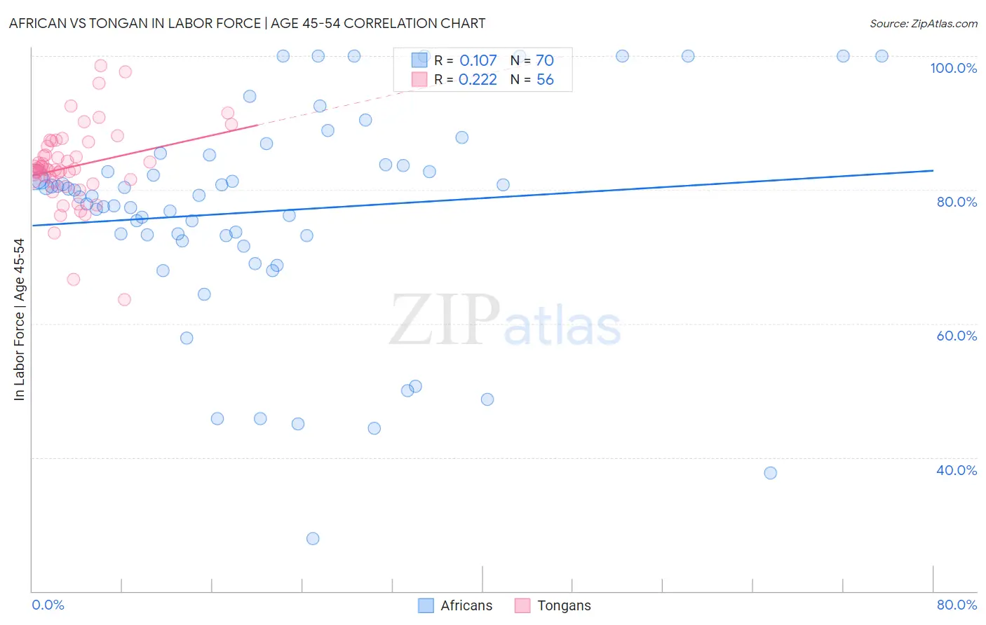 African vs Tongan In Labor Force | Age 45-54